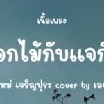 เนื้อเพลงโดย ใหม่ เจริญปุระ ดอกไม้กับแจกัน
